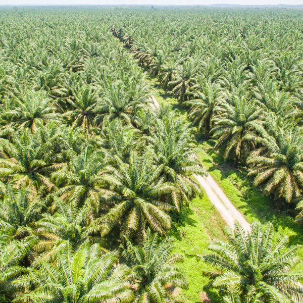 3-acre investment